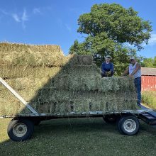 Meadow grass bales ready to unload