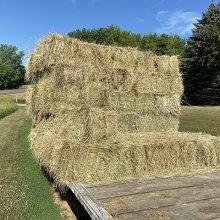 Meadow grass bales ready to unload