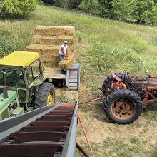 Oat Straw - Unloading