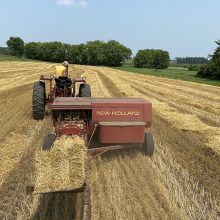 Wheat Straw - Baling